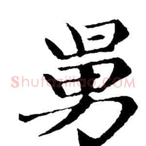 舅