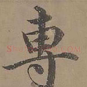 專