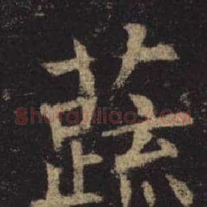 蔬
