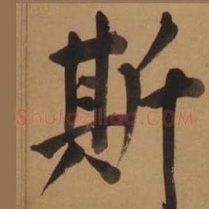 斯