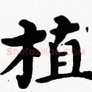 植