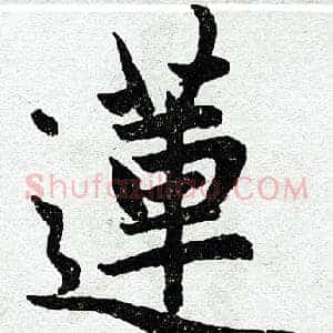 莲