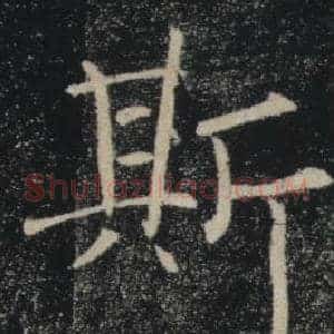 斯