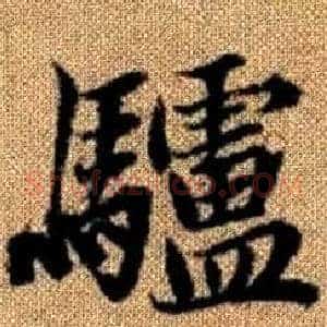 驢