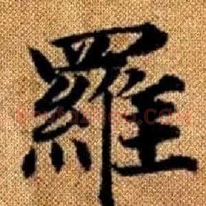 羅