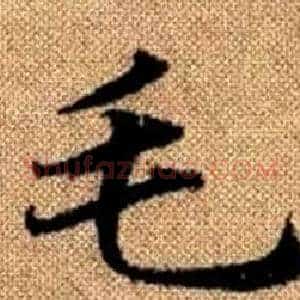 毛