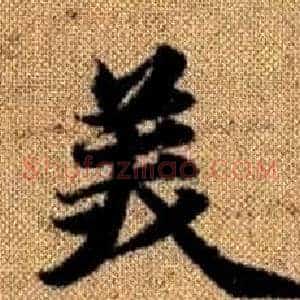 美
