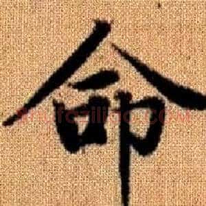 命