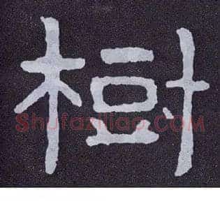 树