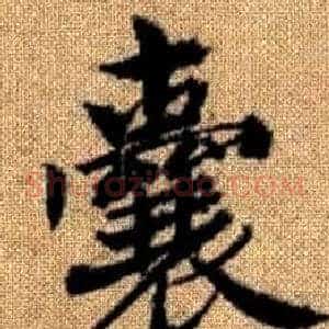囊