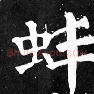 蚌