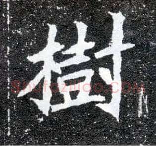 树