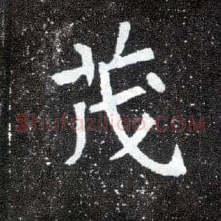 茂