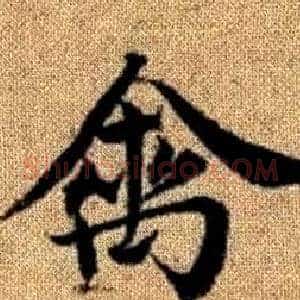 禽