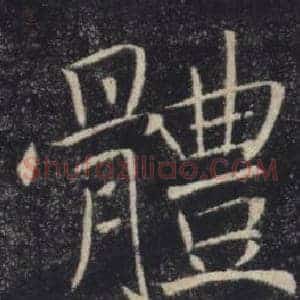 體