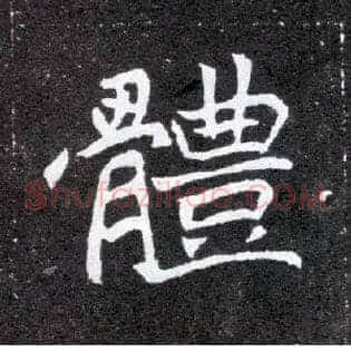 体
