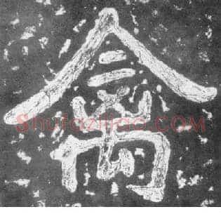禽