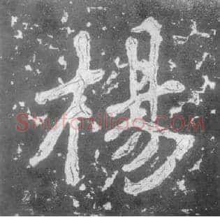 杨