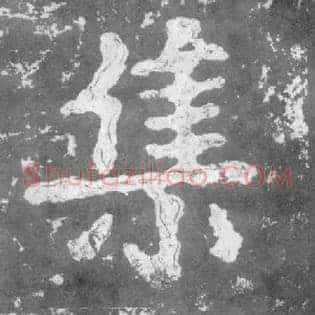 集