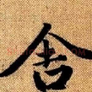 舍