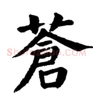 苍