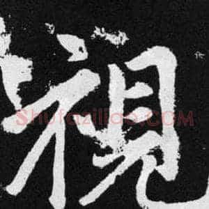 視