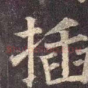 插