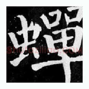 蟬