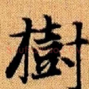樹