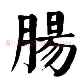 肠