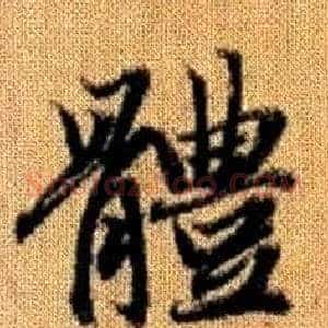體