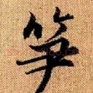 笋