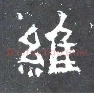 维