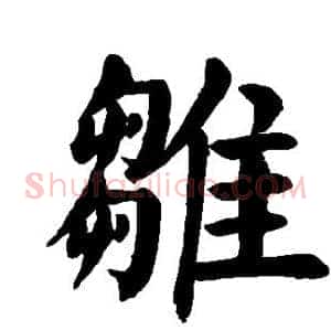 雏
