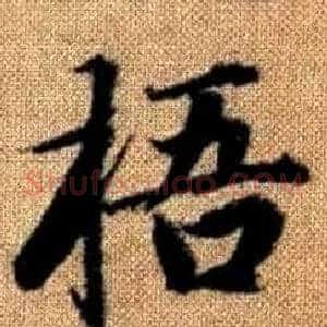 梧