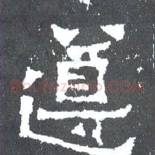 遵