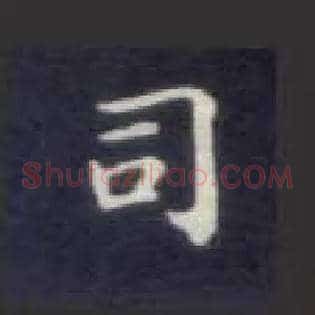 司