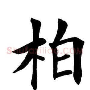 柏