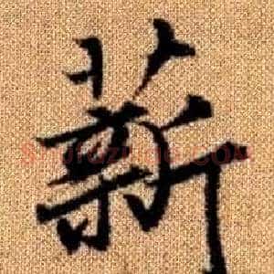 薪