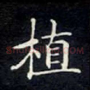 植