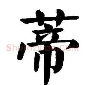蒂