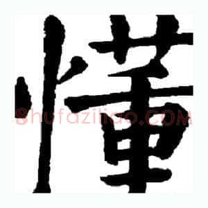 懂