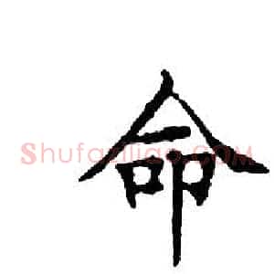命