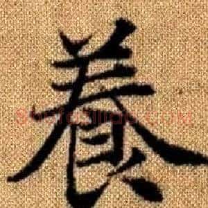 養