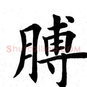 膊