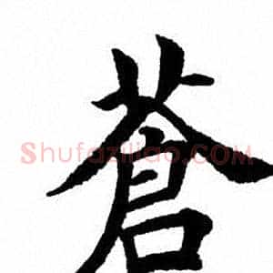苍