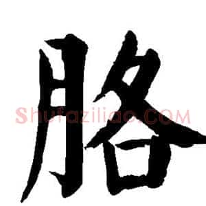胳