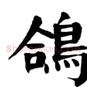 鸽