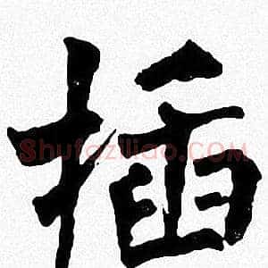 插