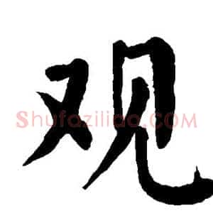 观